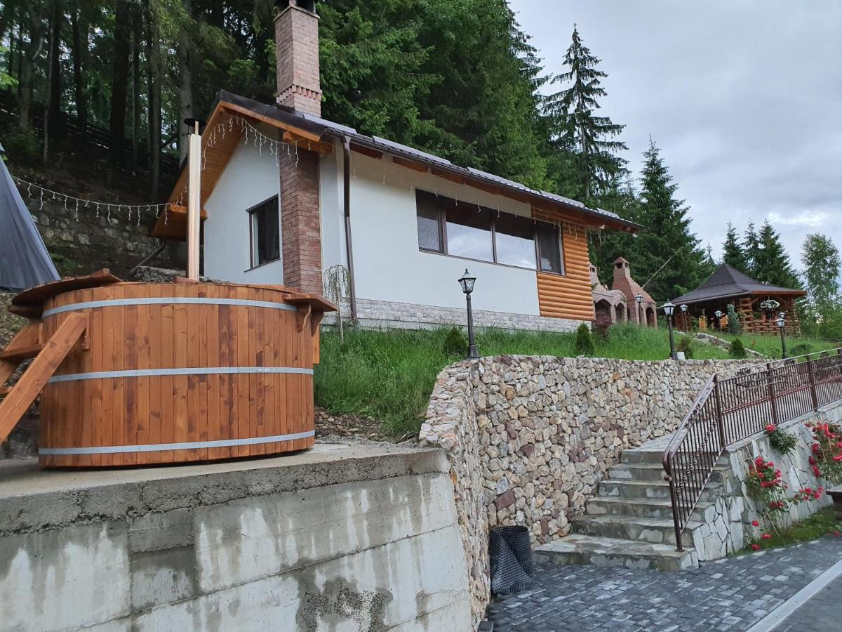 Casa Sofia Bucovina Hotel Ciumirna Exterior foto