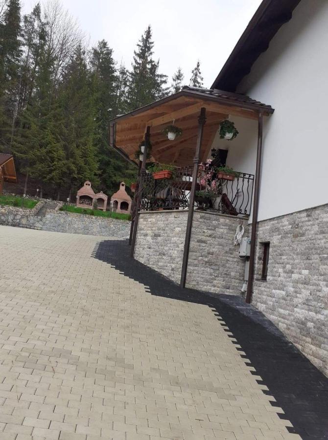 Casa Sofia Bucovina Hotel Ciumirna Exterior foto