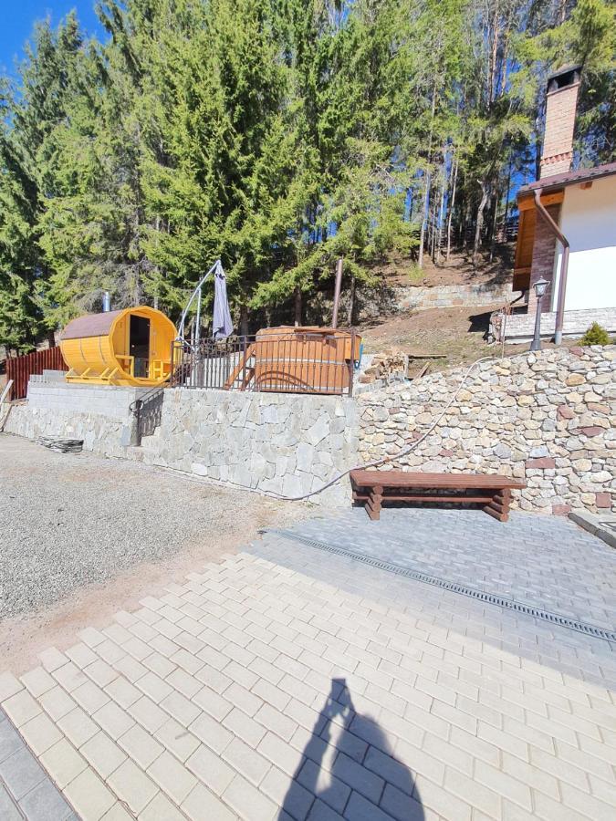 Casa Sofia Bucovina Hotel Ciumirna Exterior foto